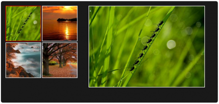 Image Gallery Featured Image