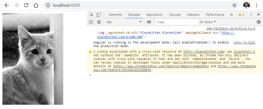 Picture of Cat from placekitten website as a placeholder to describe angular directive from technbuzz.com